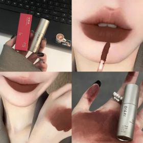 Dark Brown Matte Velvet Lip Gloss Waterproof Liquid Lipstick Nude Brown 04